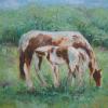 Horses for Alethea - Oils on Canvas