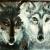 Wolves