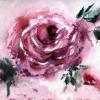 Light Watercolor Rose - Watercolors
© Kathryn A. Barnes, artist