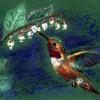 Pastel Green Hummer - pastels
© Kathryn A. Barnes, artist