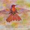 Iridescent Hummer - Mixed Media
© Kathryn A. Barnes, artist