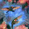 Two RubyThroats - Oils on Canvas
© Kathryn A. Barnes, artist