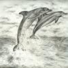 Leap of Joy - Silverpoint
© Kathryn A. Barnes, artist