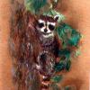 Raccoon - Pastel
© Kathryn A. Barnes, artist