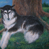 Shelby - Oils on canvas
© Kathryn A. Barnes, artist